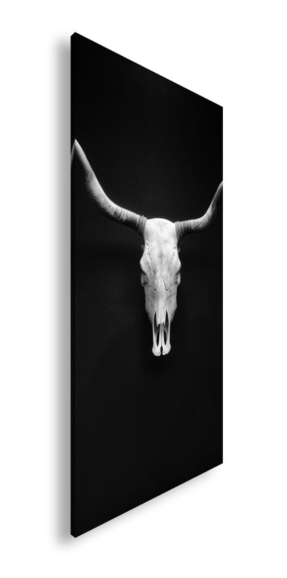 Hauptbild Schwarz & Weiß Panorama