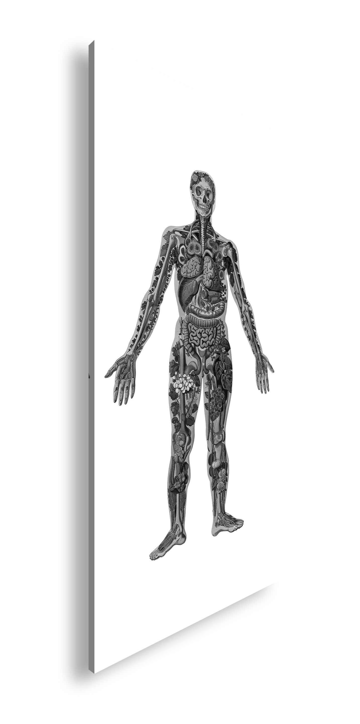 Hauptbild Schwarz & Weiß Panorama