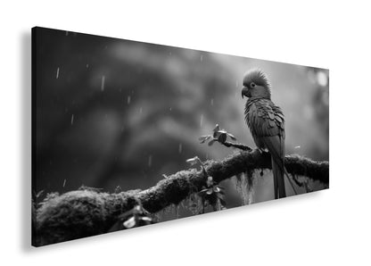 Hauptbild Schwarz & Weiß Panorama