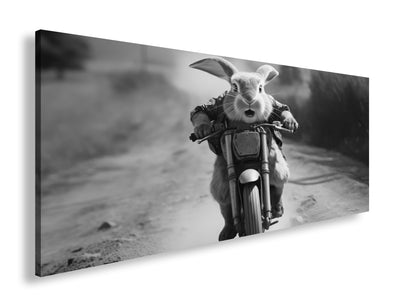 Hauptbild Schwarz & Weiß Panorama