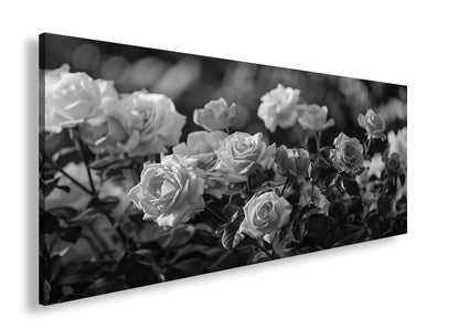 Hauptbild Schwarz & Weiß Panorama