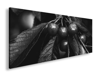 Hauptbild Schwarz & Weiß Panorama