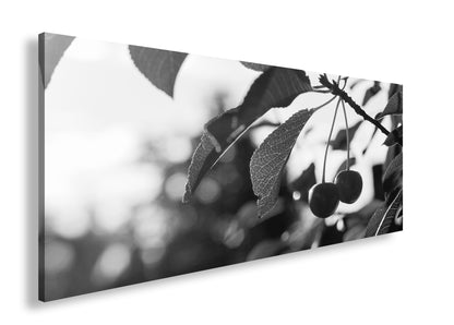 Hauptbild Schwarz & Weiß Panorama