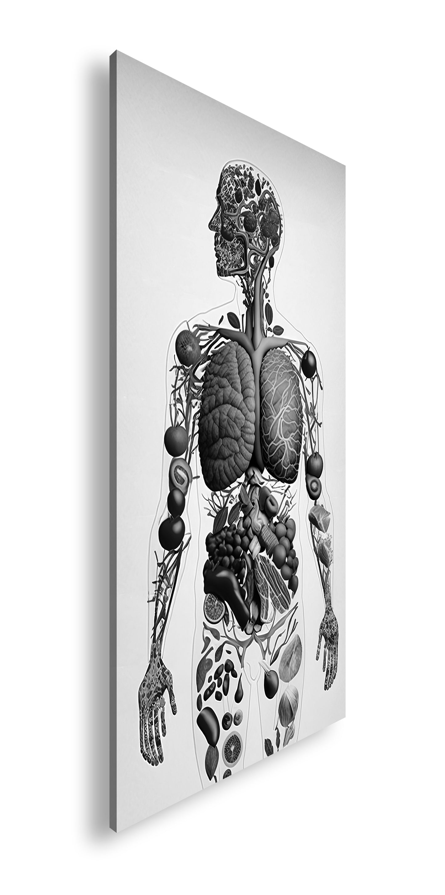 Hauptbild Schwarz & Weiß Panorama