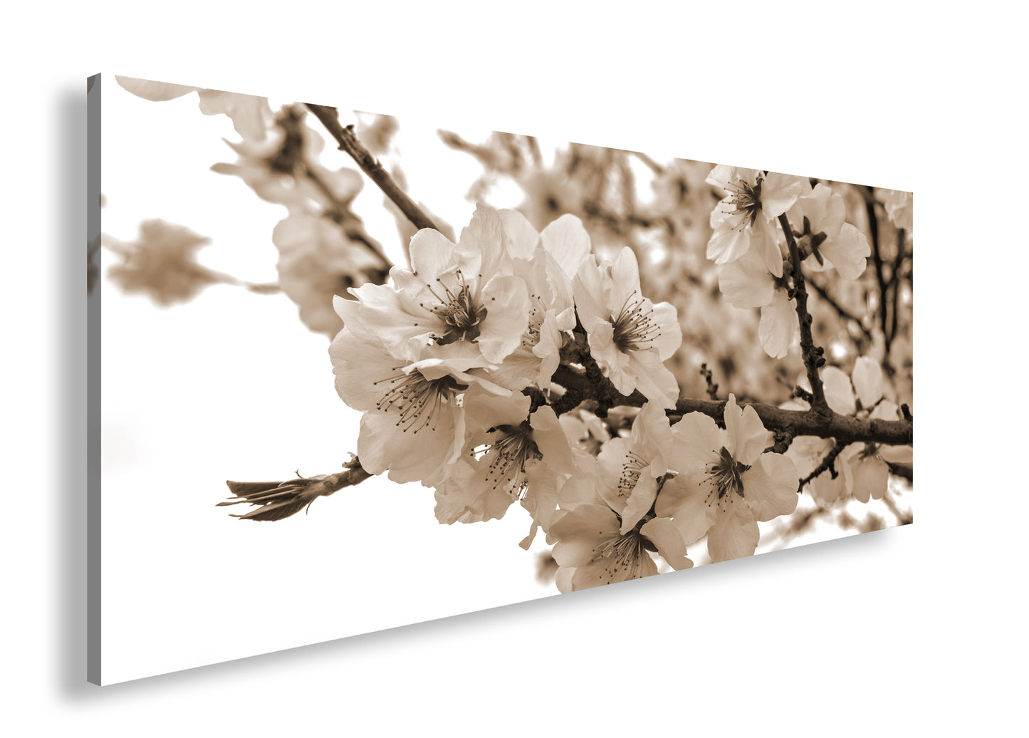 Hauptbild Sepia Panorama