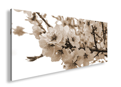 Hauptbild Sepia Panorama