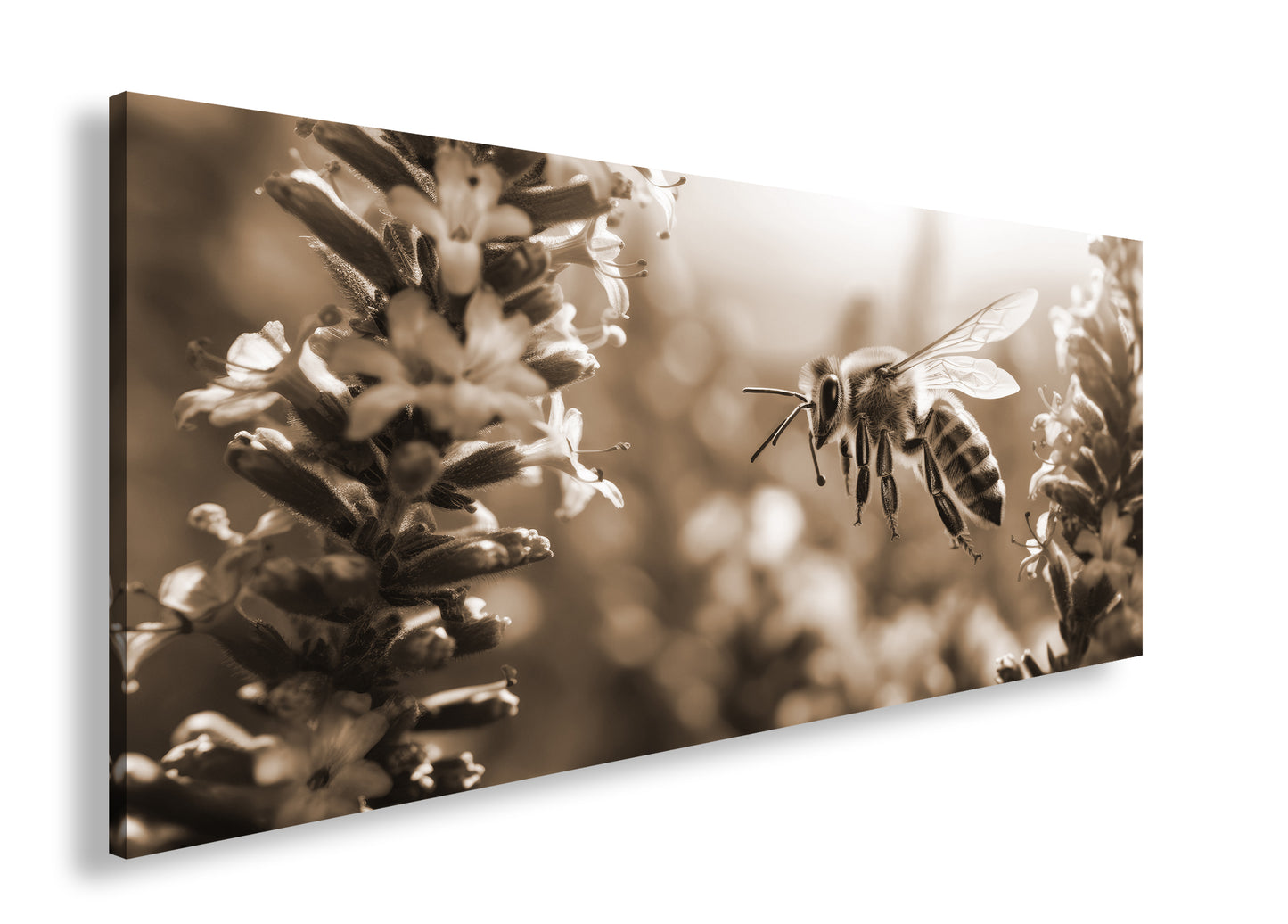 Hauptbild Sepia Panorama