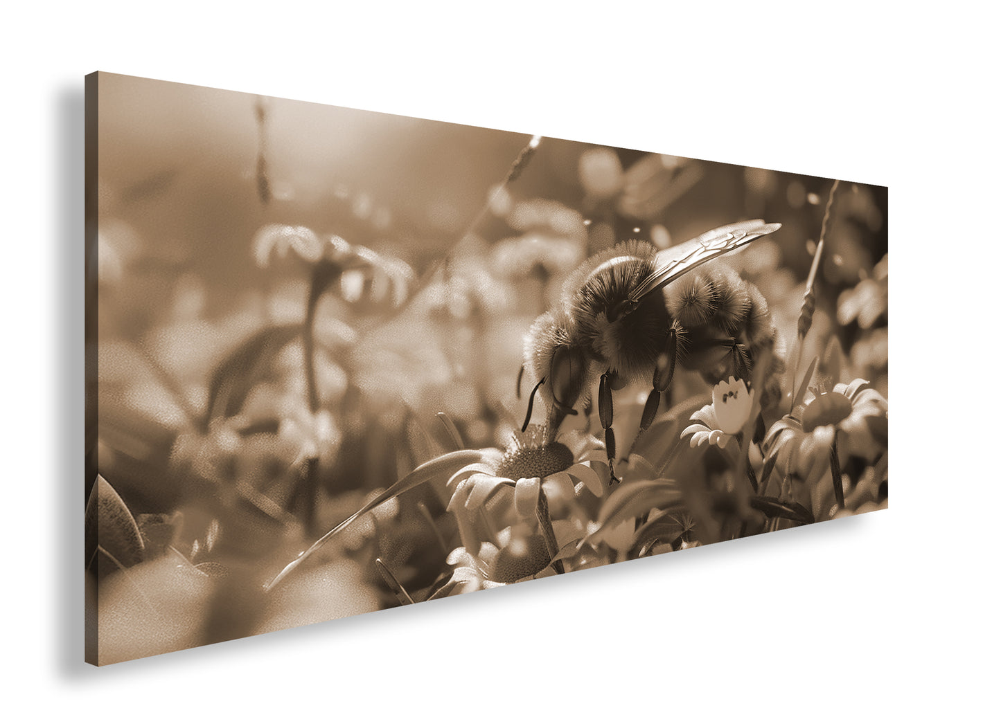 Hauptbild Sepia Panorama