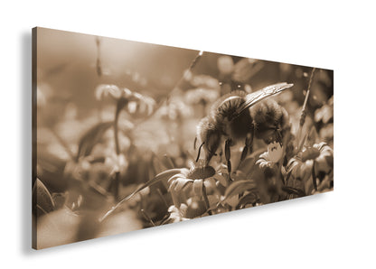 Hauptbild Sepia Panorama