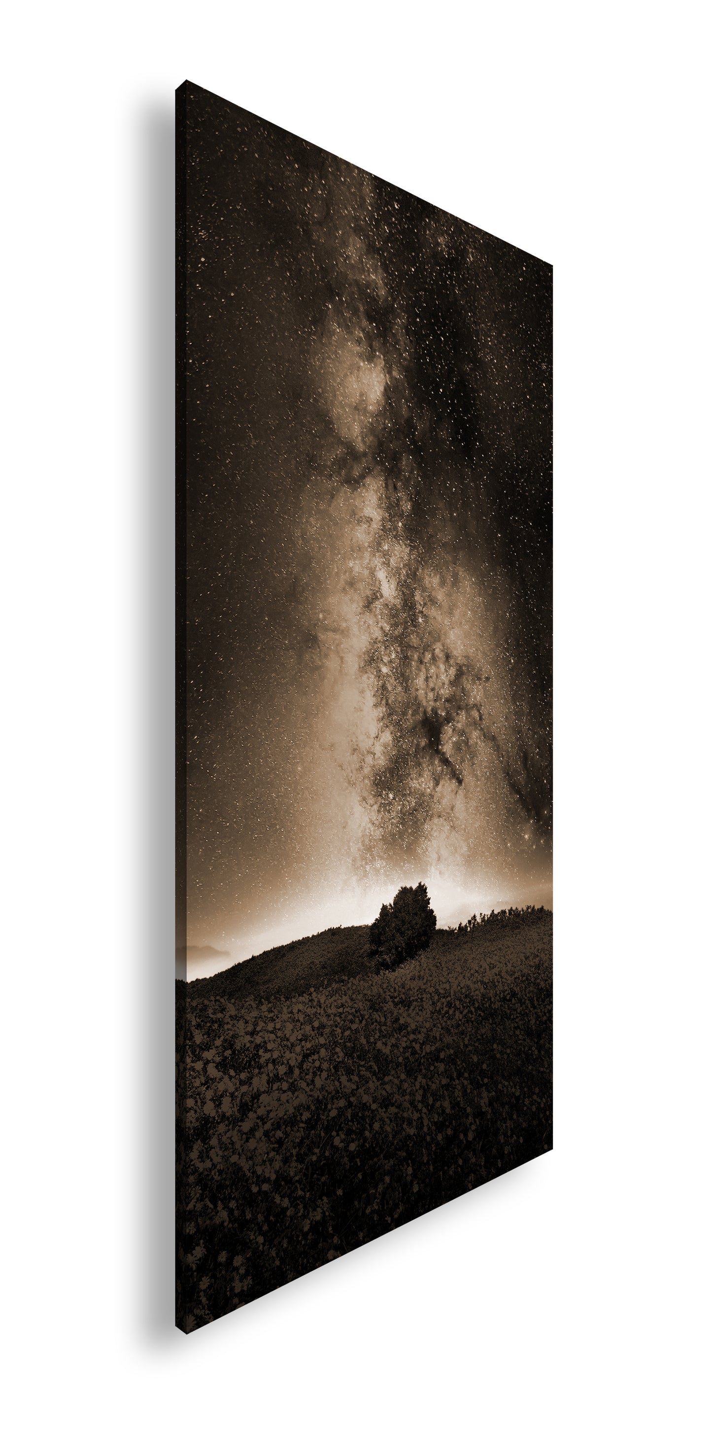 Hauptbild Sepia Panorama