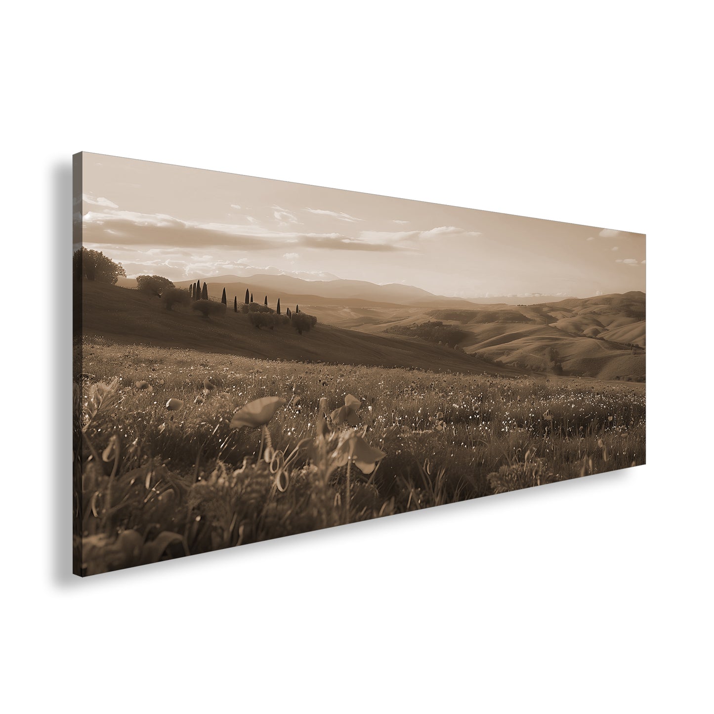 Hauptbild Sepia Panorama