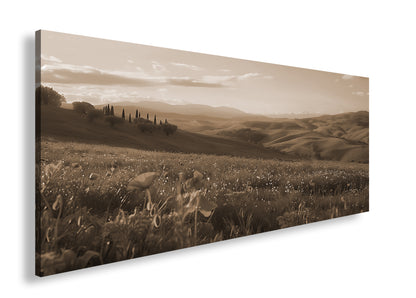 Hauptbild Sepia Panorama