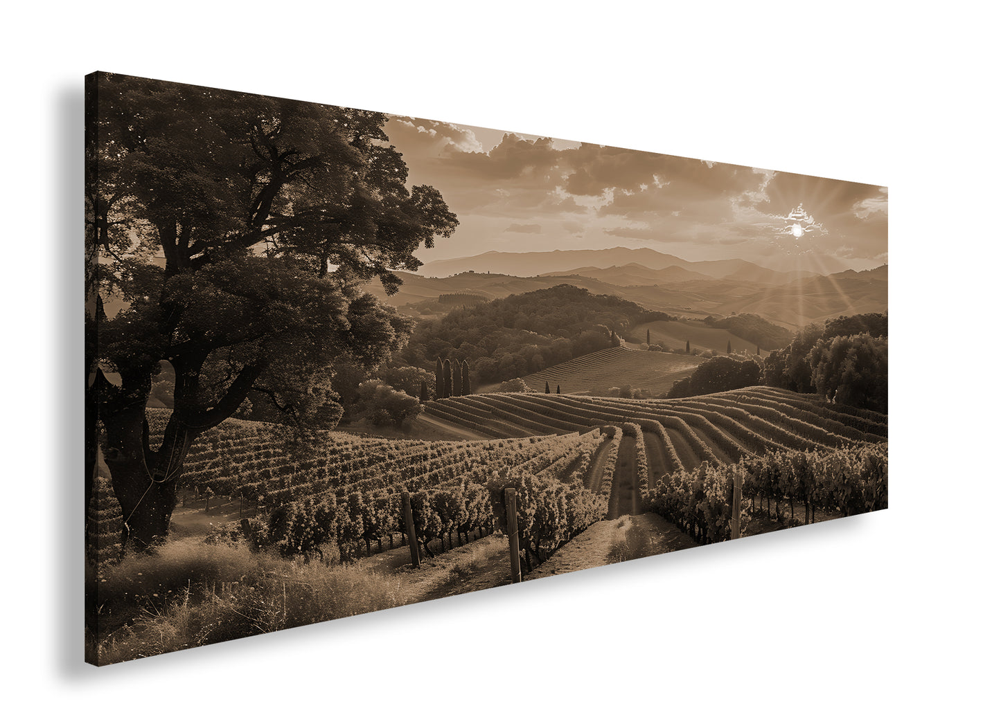 Hauptbild Sepia Panorama