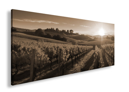 Hauptbild Sepia Panorama