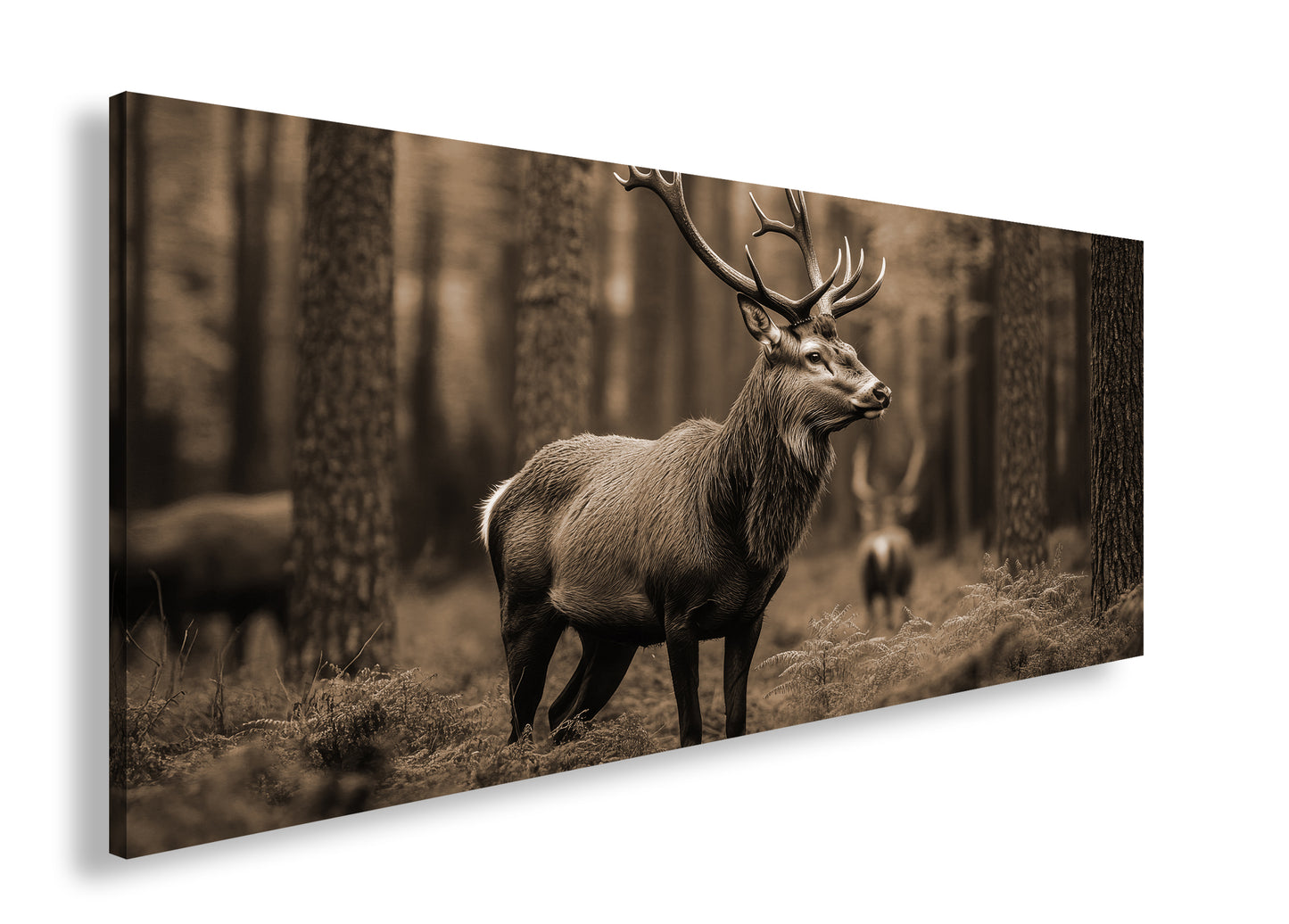 Hauptbild Sepia Panorama