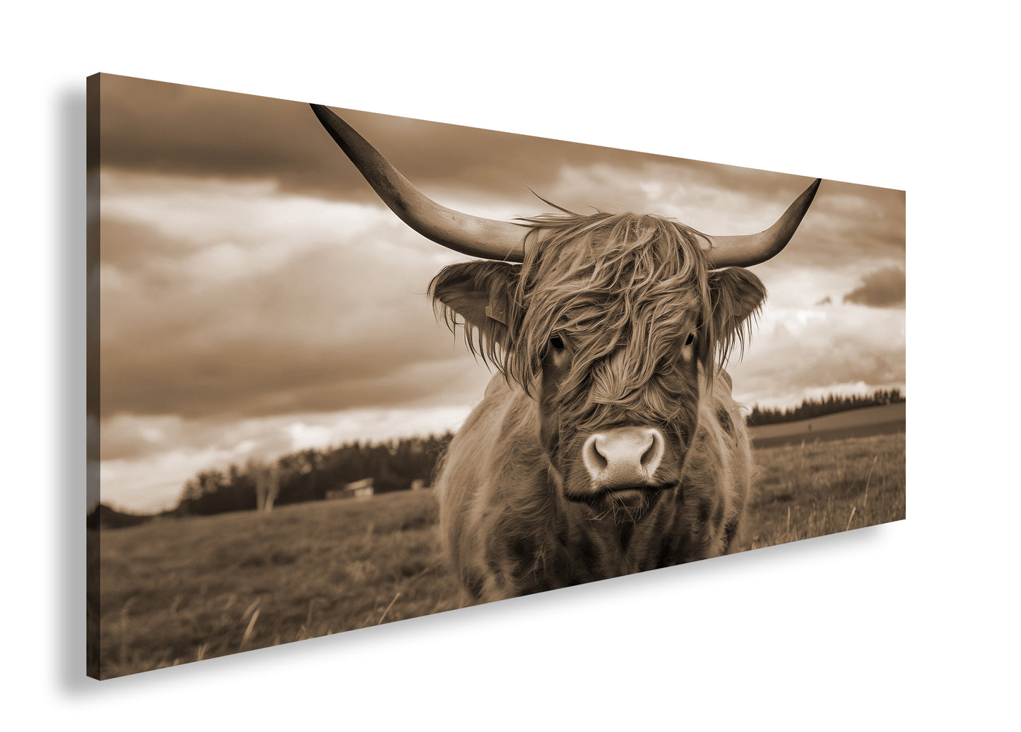 Hauptbild Sepia Panorama