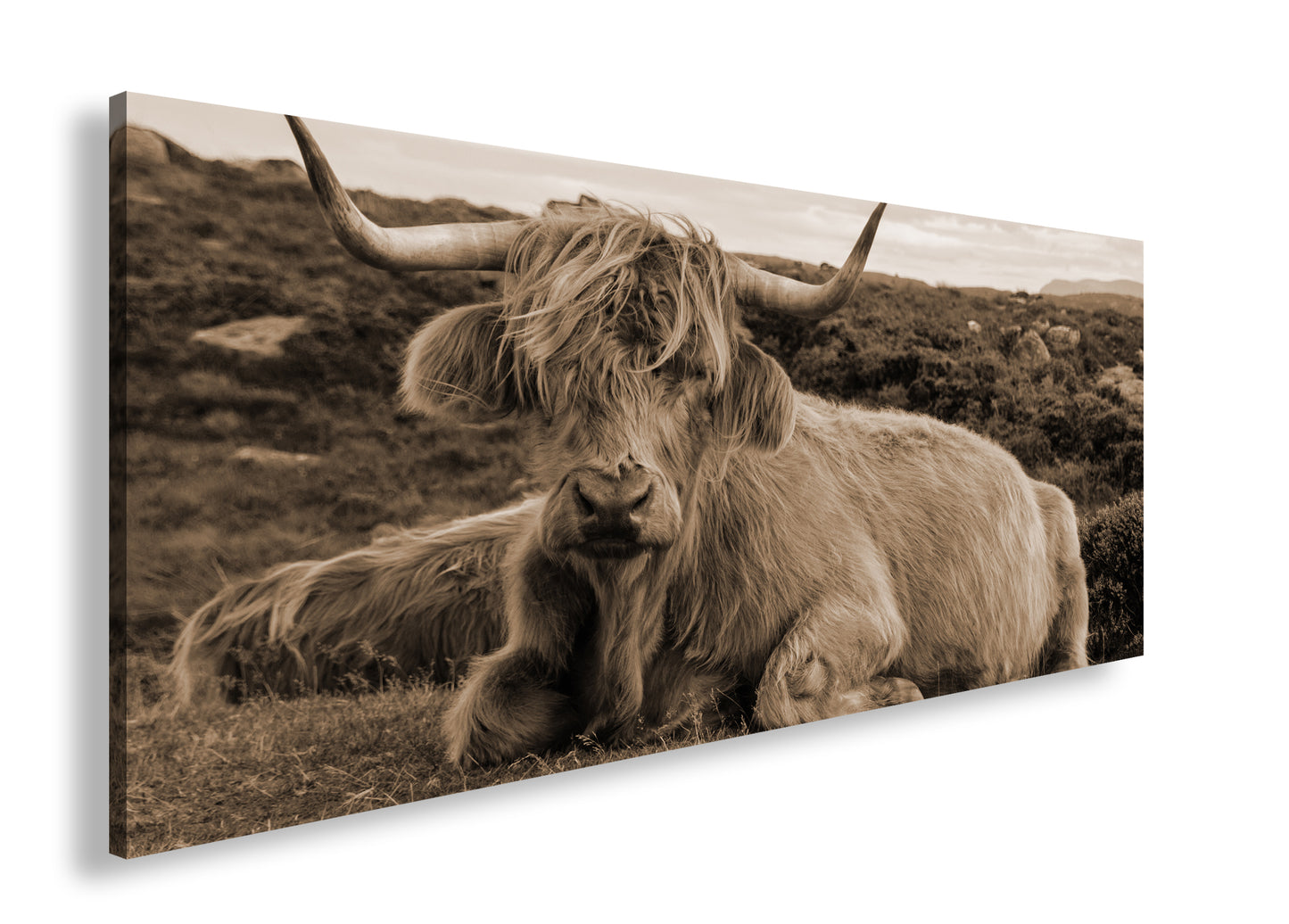 Hauptbild Sepia Panorama