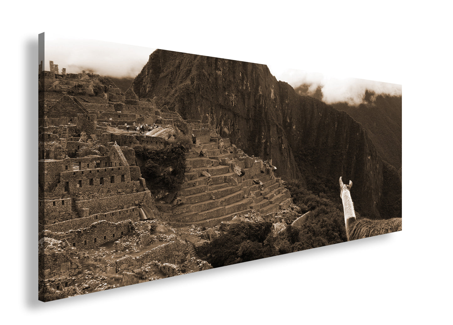 Hauptbild Sepia Panorama
