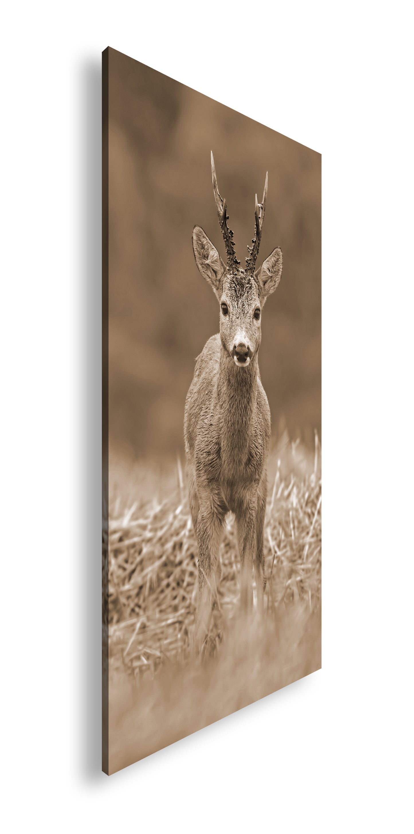 Hauptbild Sepia Panorama