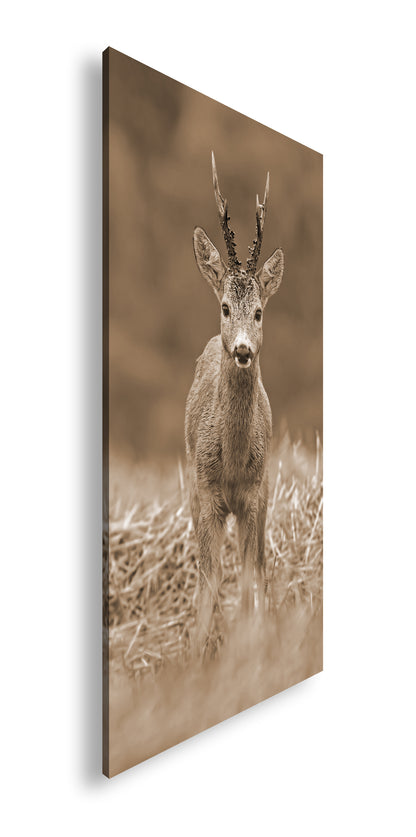 Hauptbild Sepia Panorama