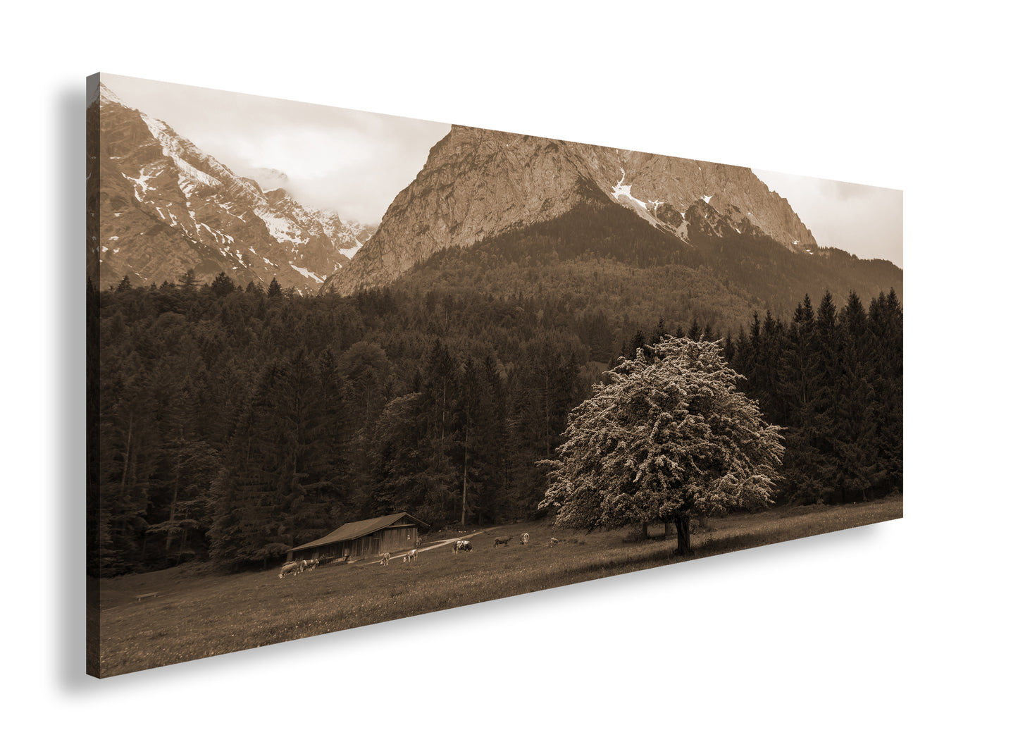 Hauptbild Sepia Panorama