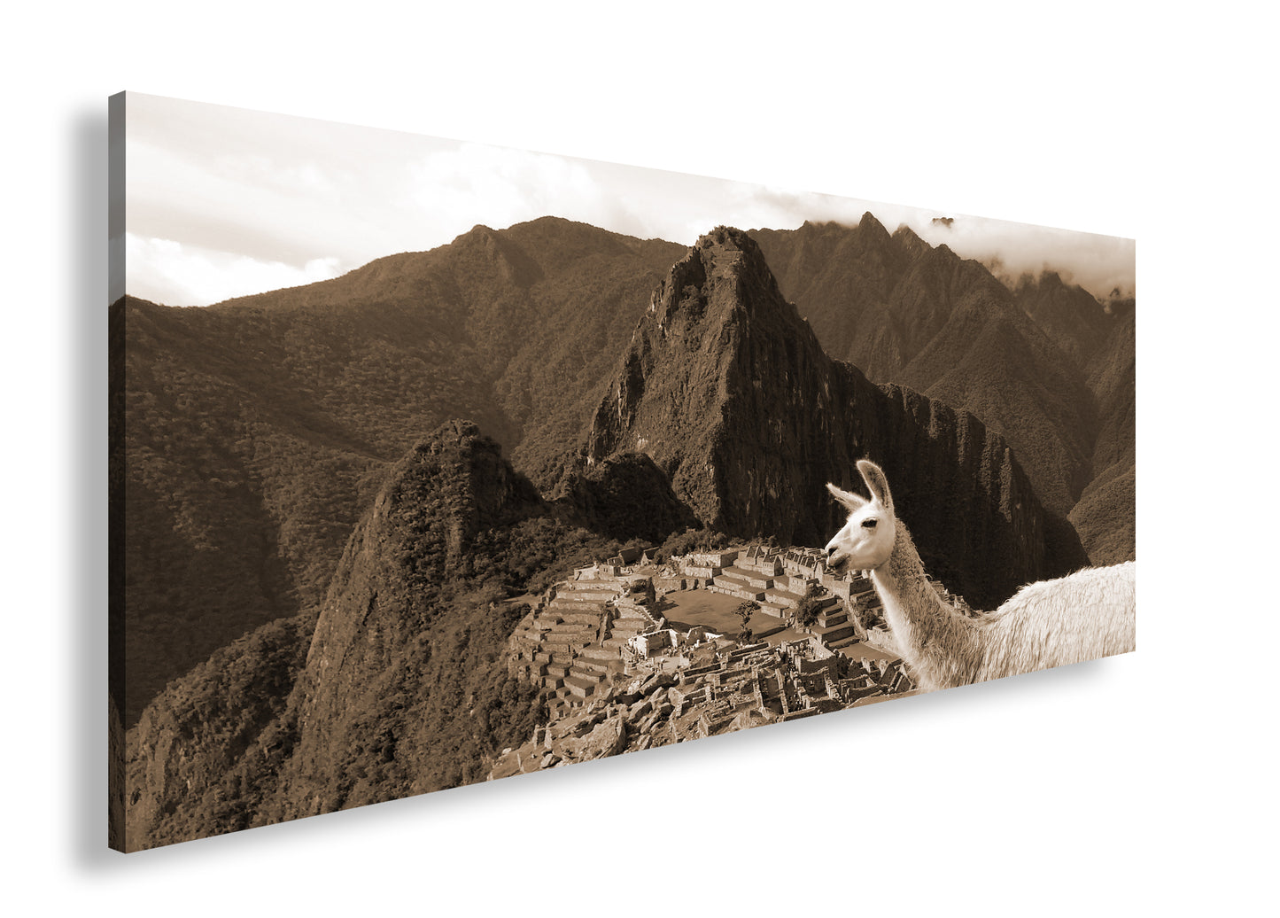 Hauptbild Sepia Panorama