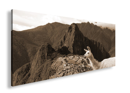 Hauptbild Sepia Panorama