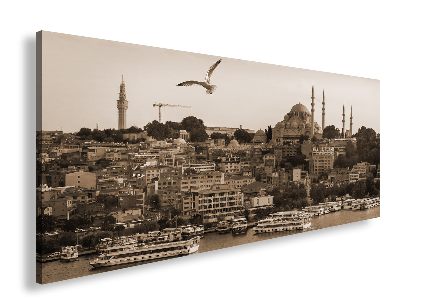 Hauptbild Sepia Panorama