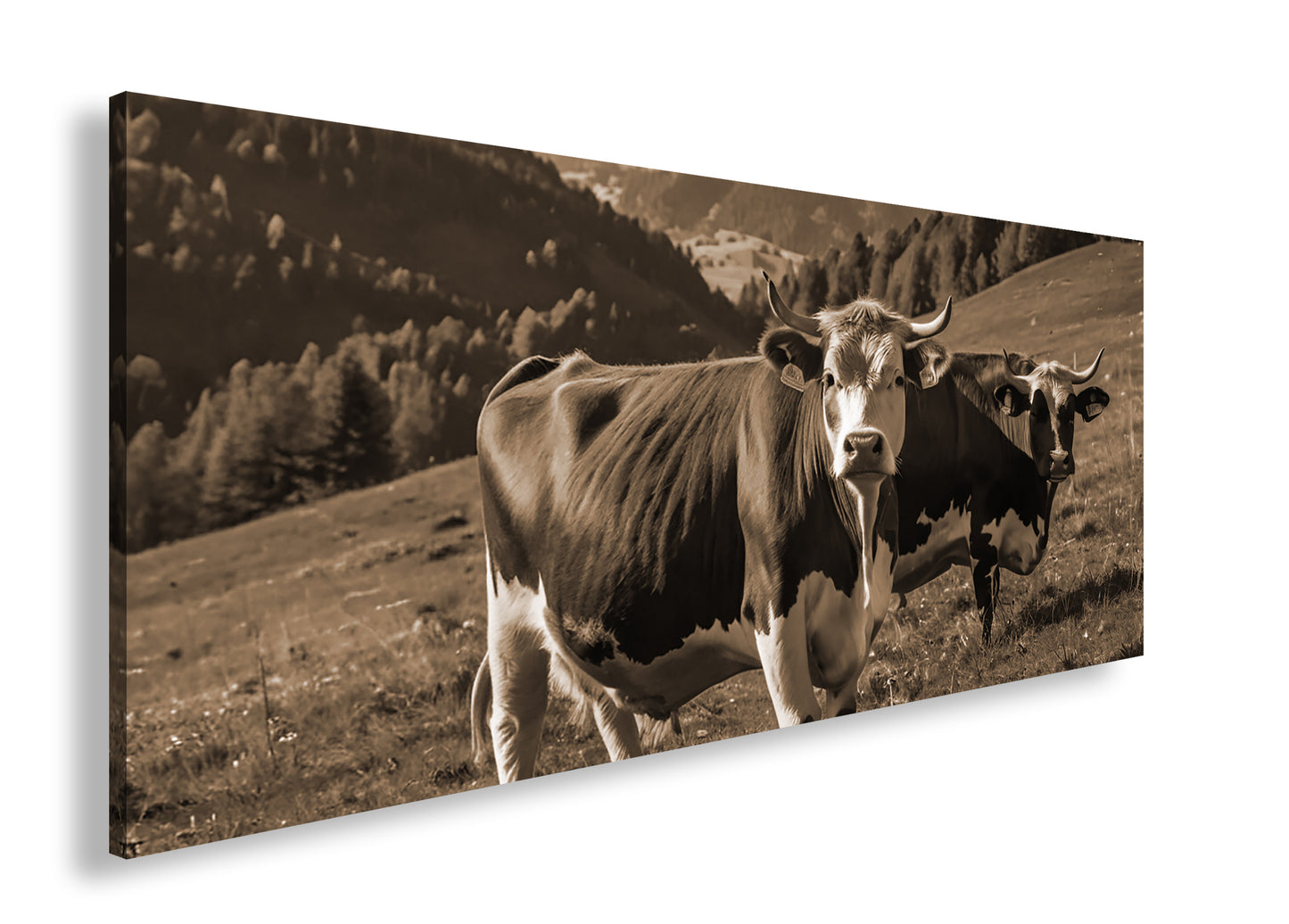 Hauptbild Sepia Panorama