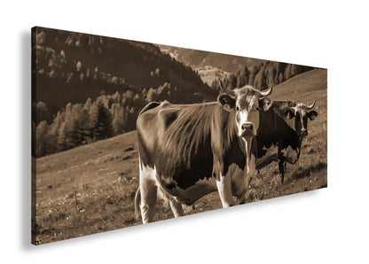 Hauptbild Sepia Panorama