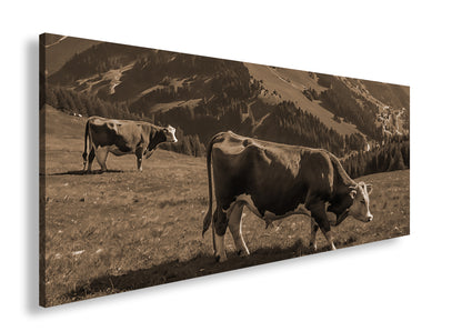 Hauptbild Sepia Panorama