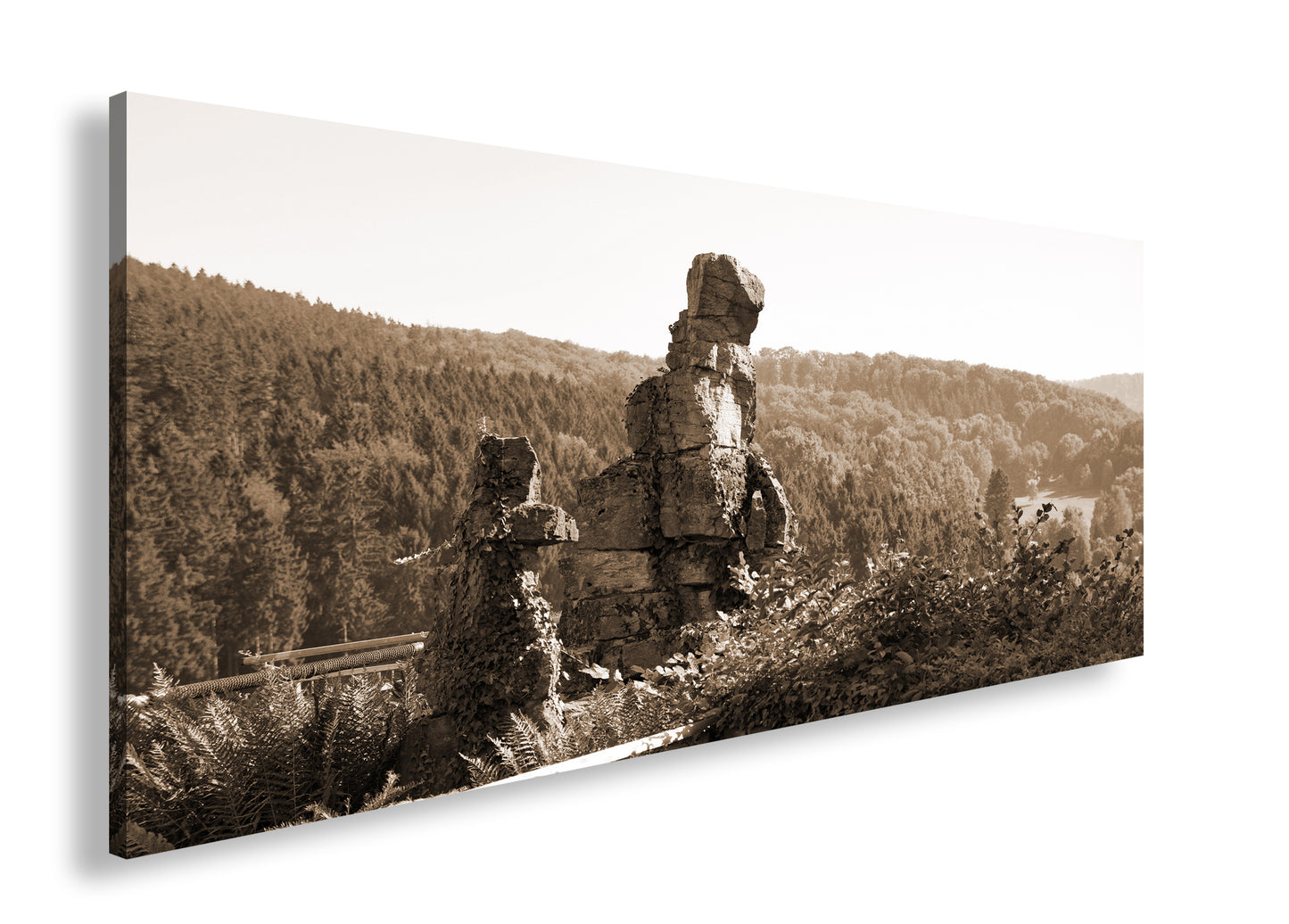 Hauptbild Sepia Panorama