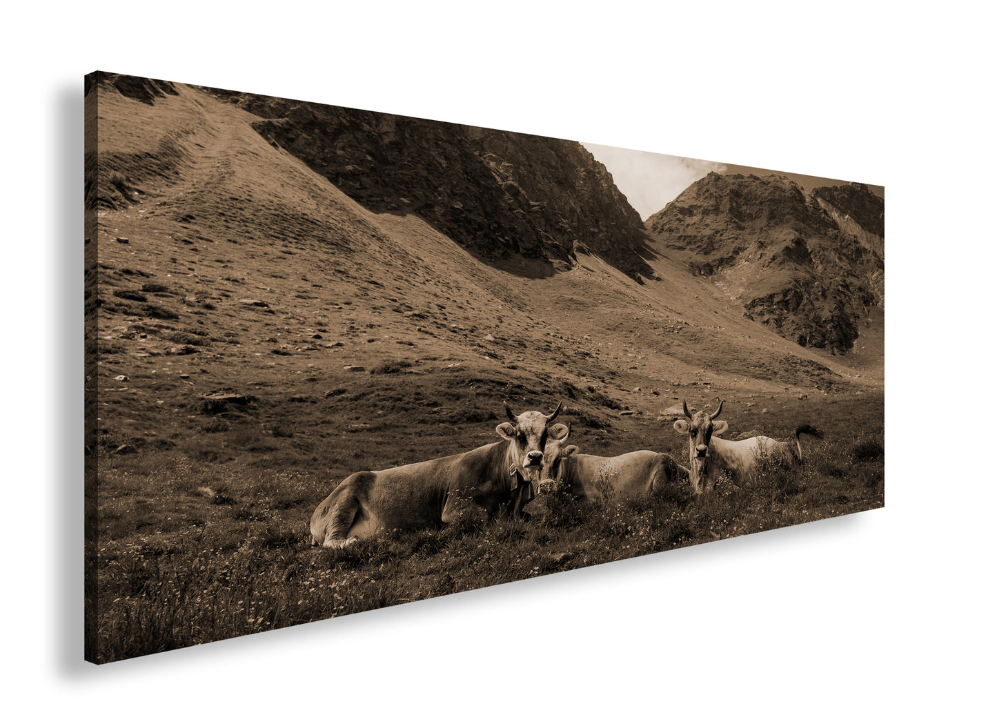 Hauptbild Sepia Panorama