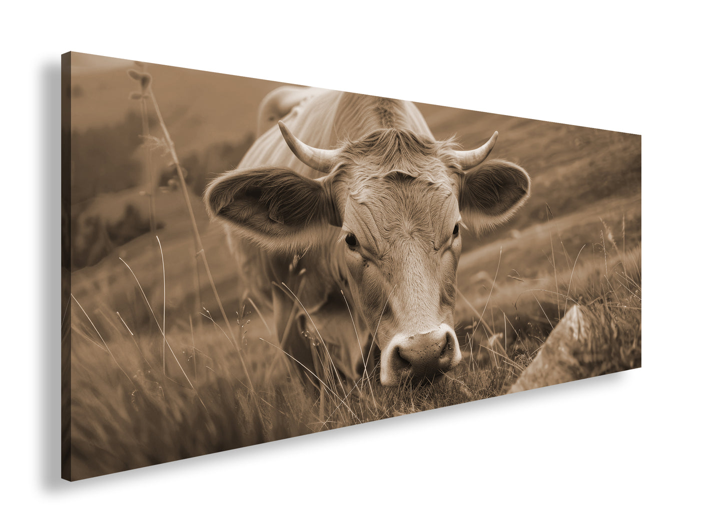 Hauptbild Sepia Panorama