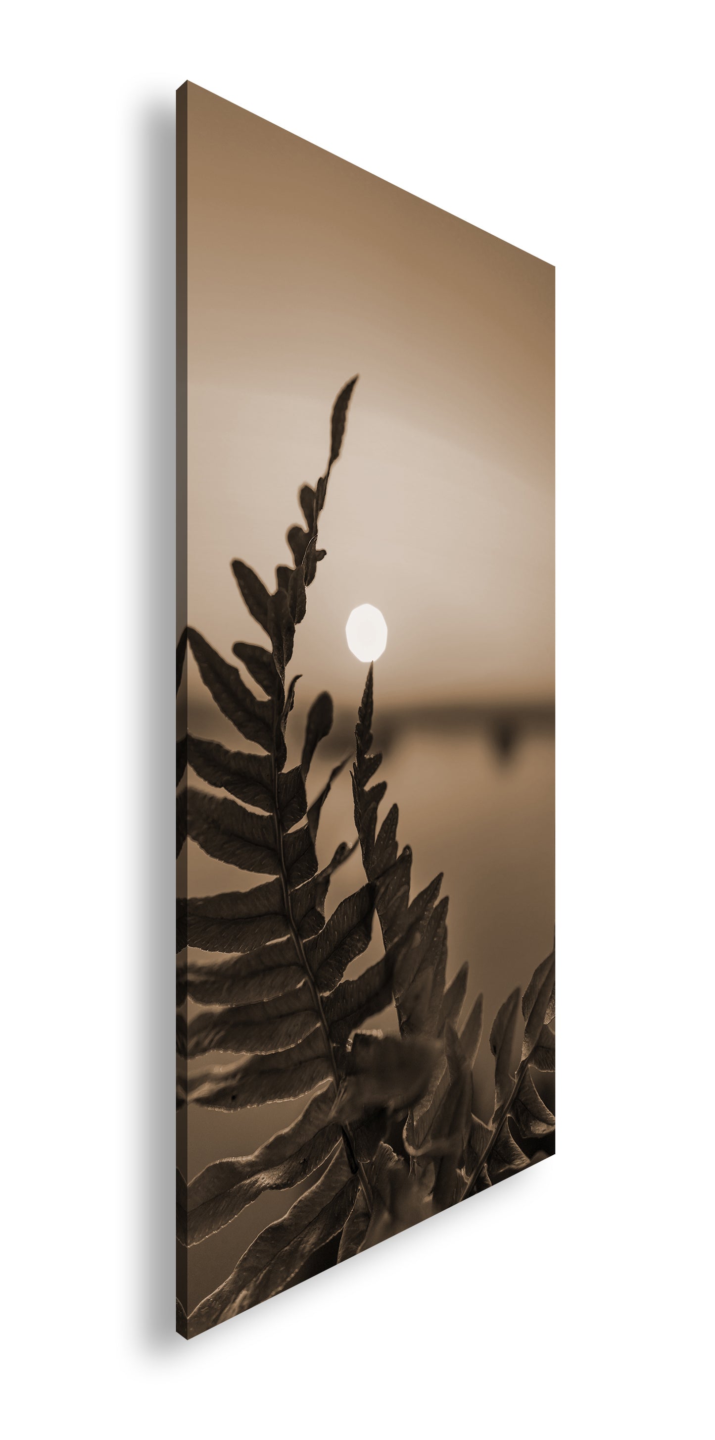 Hauptbild Sepia Panorama