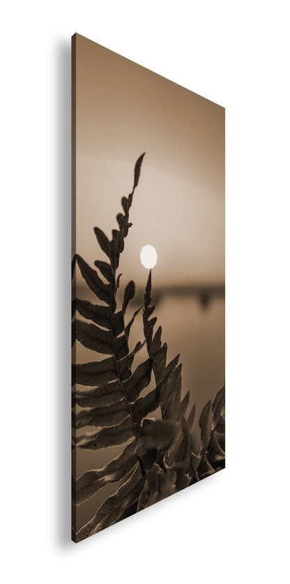 Hauptbild Sepia Panorama