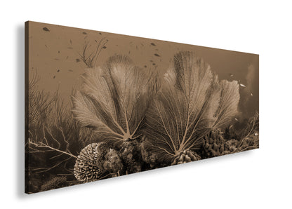 Hauptbild Sepia Panorama