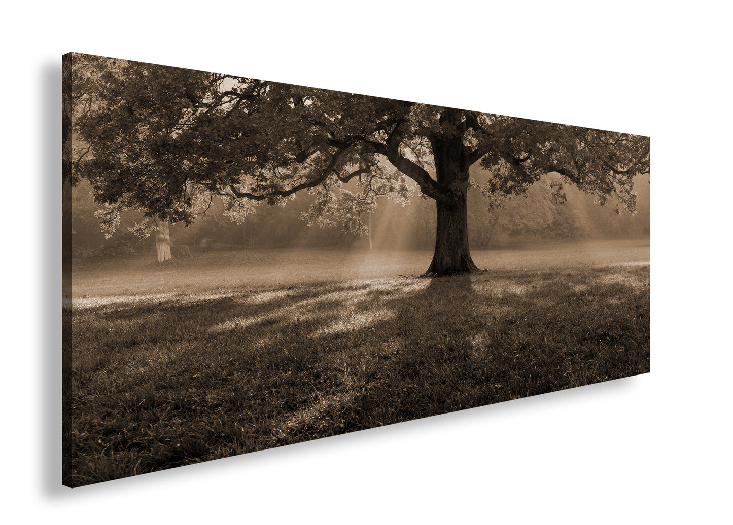 Hauptbild Sepia Panorama