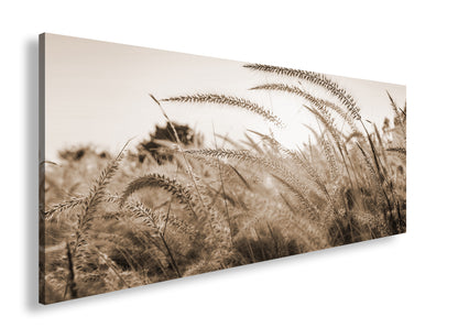 Hauptbild Sepia Panorama