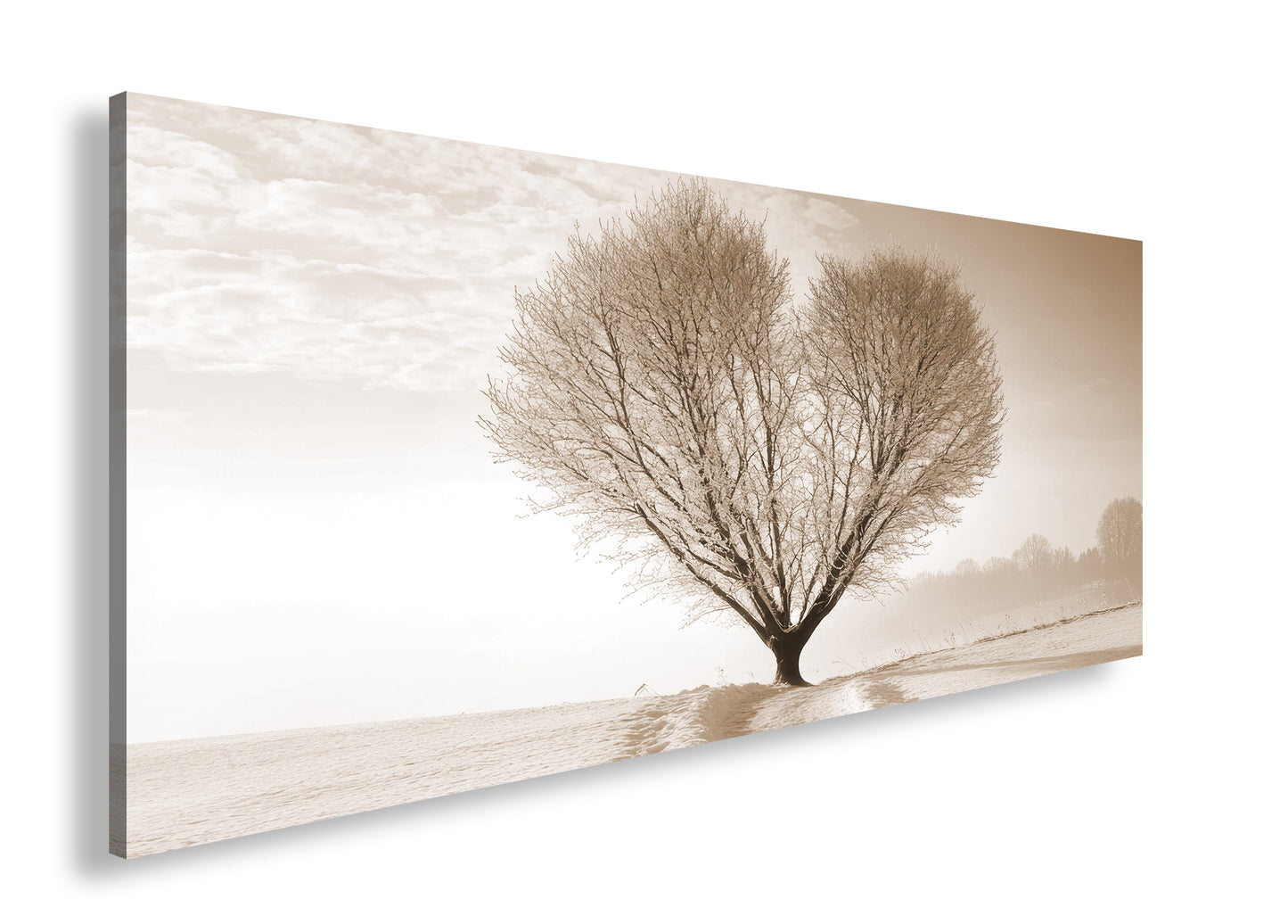 Hauptbild Sepia Panorama