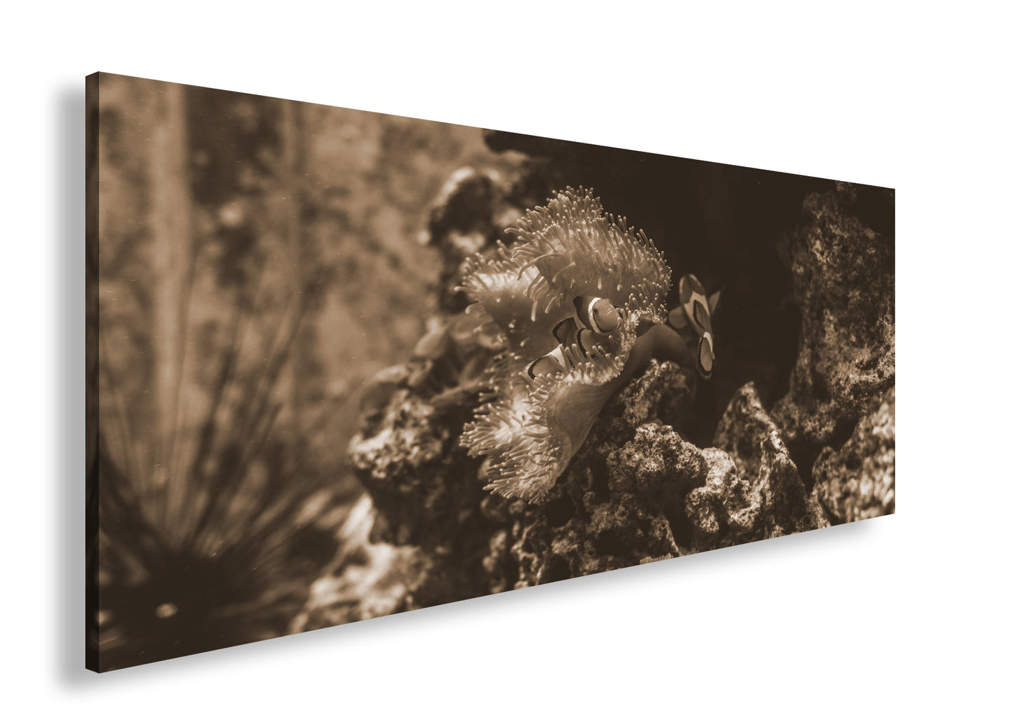 Hauptbild Sepia Panorama