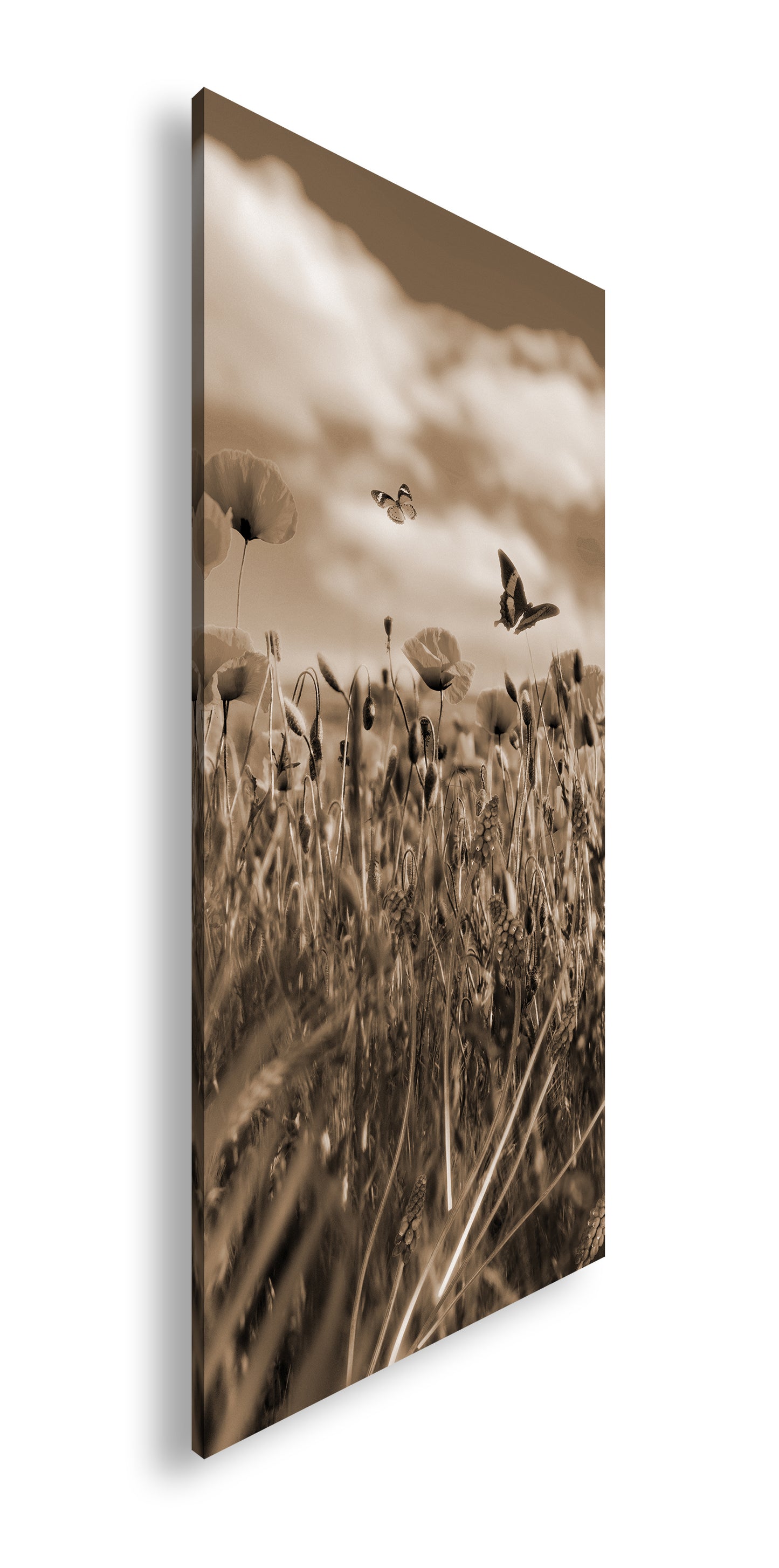 Hauptbild Sepia Panorama