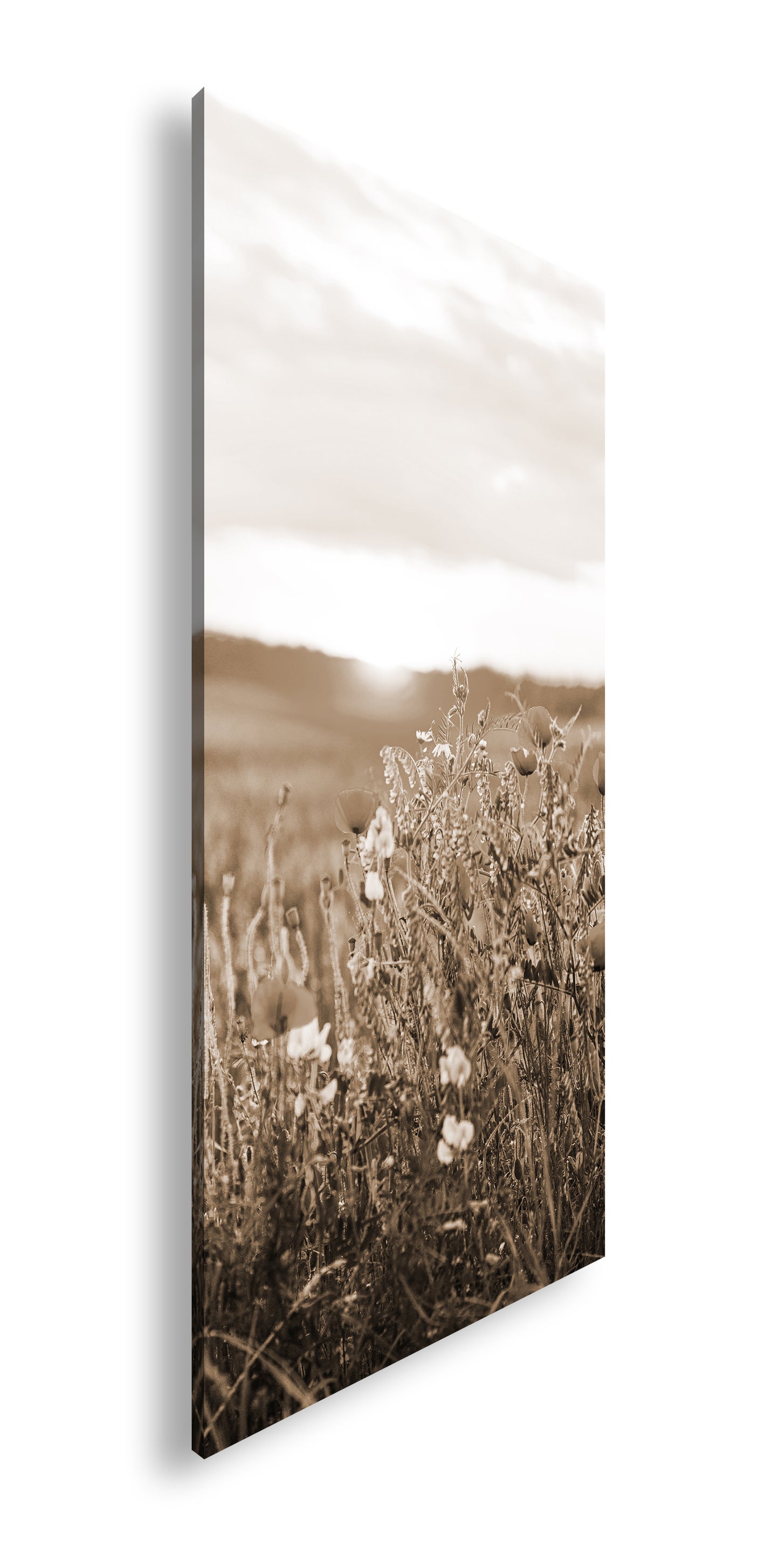 Hauptbild Sepia Panorama