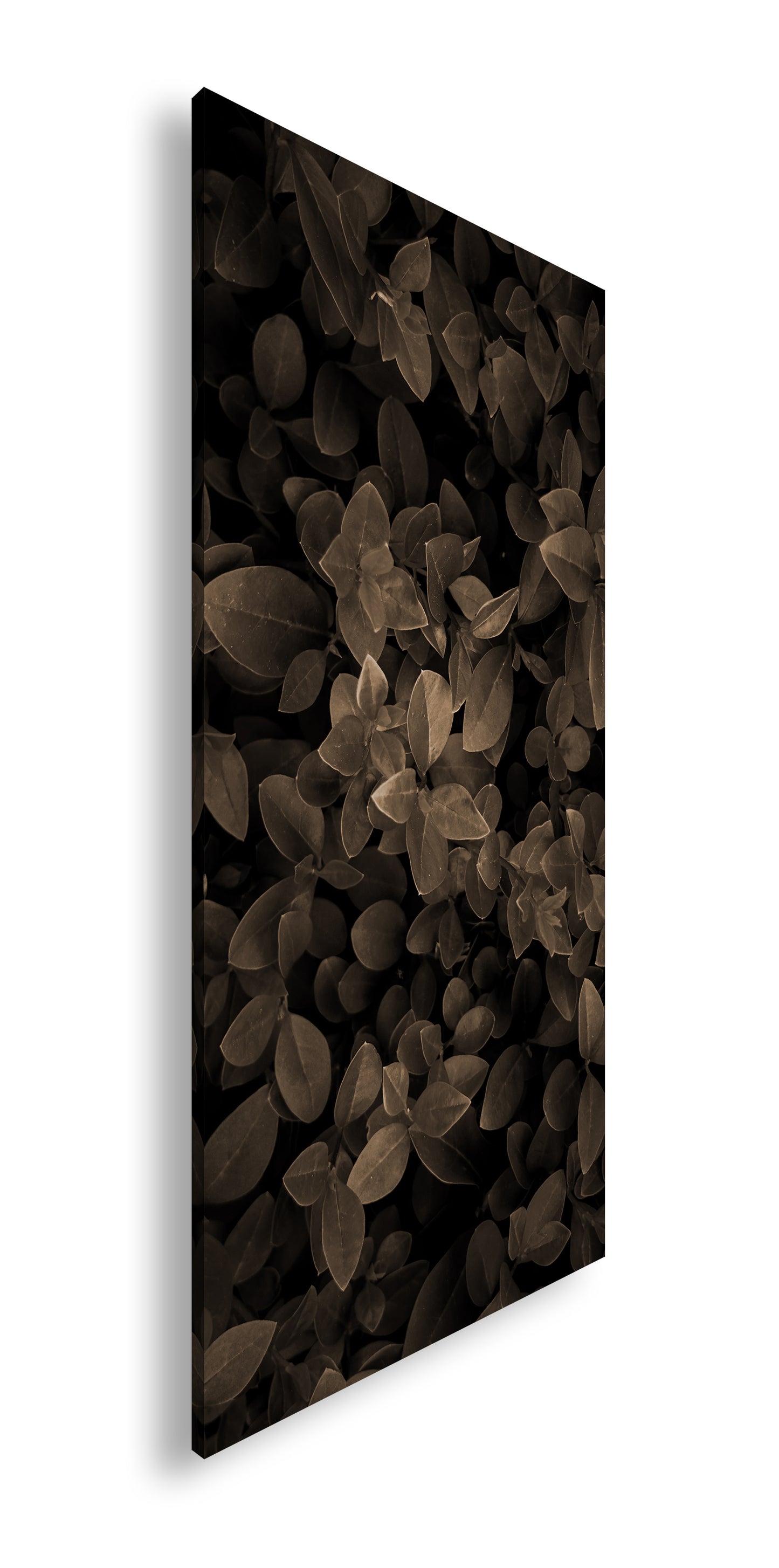 Hauptbild Sepia Panorama