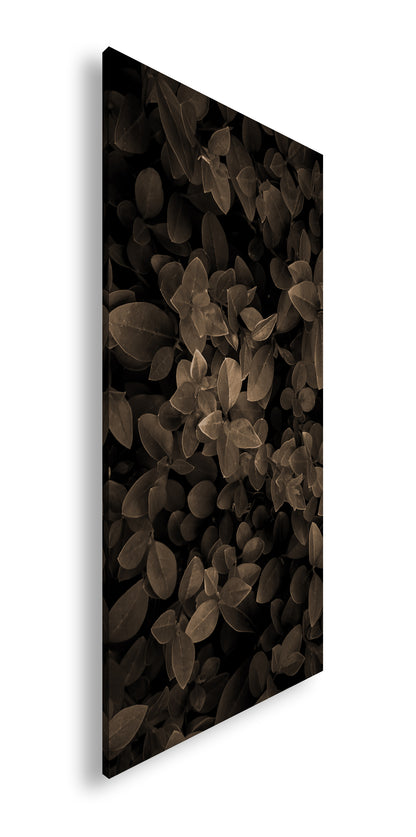 Hauptbild Sepia Panorama