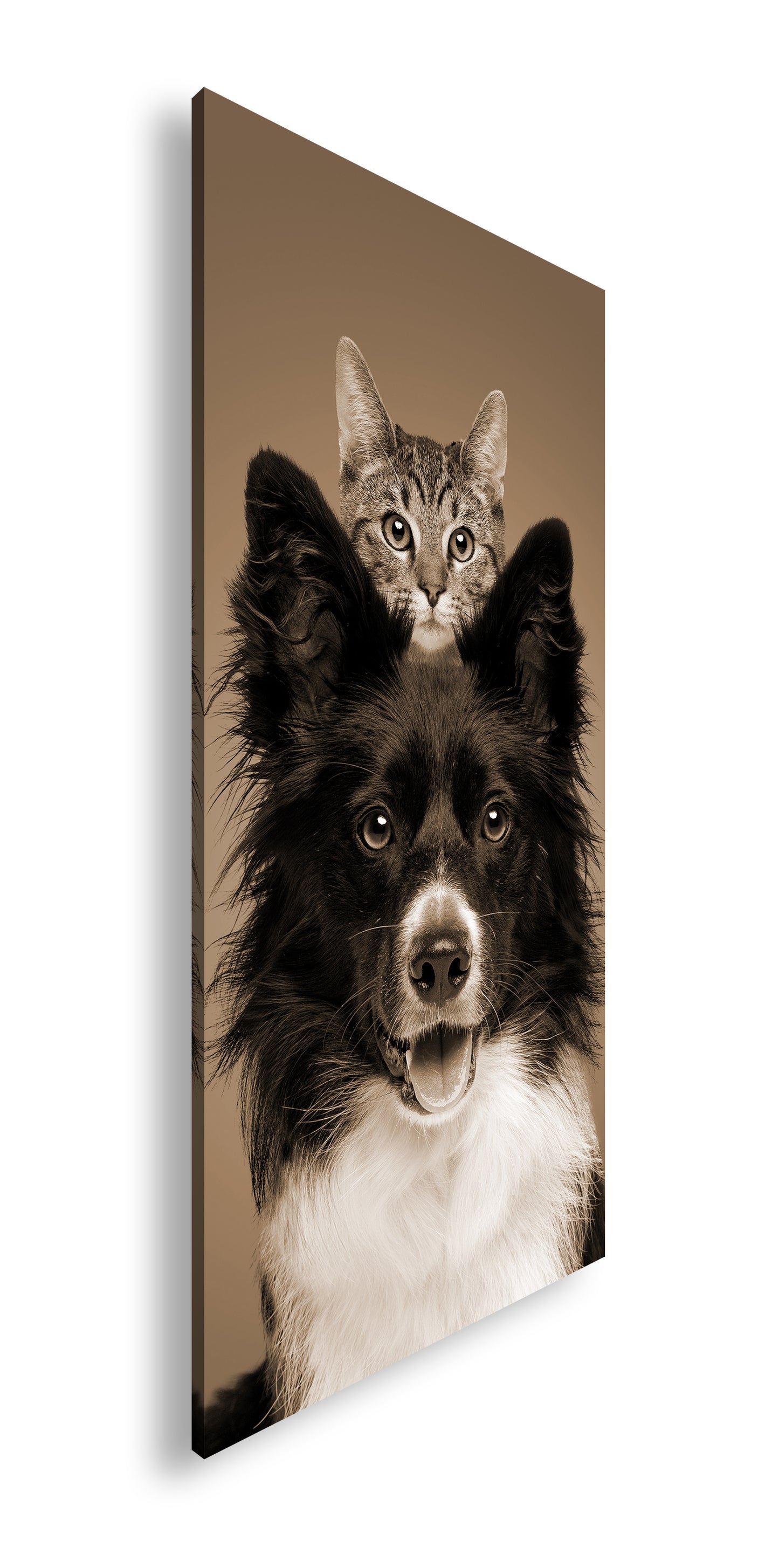 Hauptbild Sepia Panorama