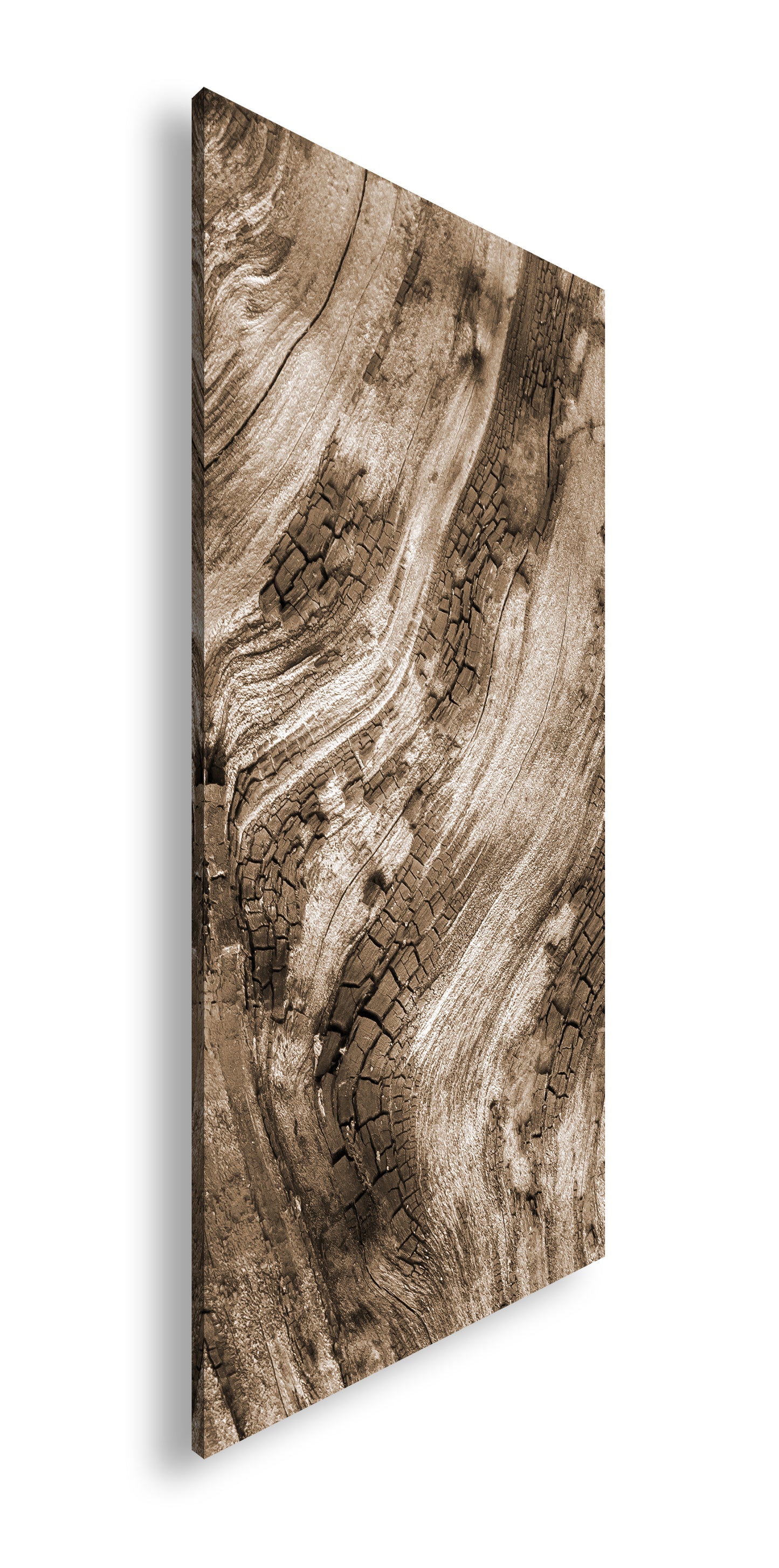 Hauptbild Sepia Panorama