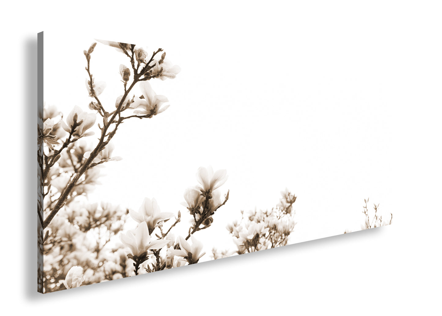 Hauptbild Sepia Panorama