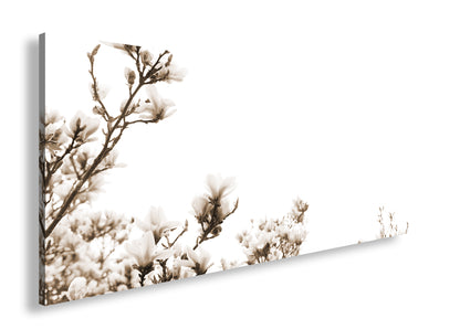 Hauptbild Sepia Panorama