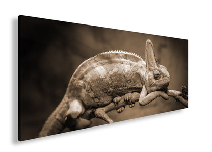 Hauptbild Sepia Panorama